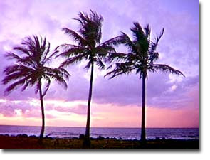 Bundaberg Coral Coast