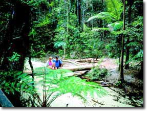 Fraser Island