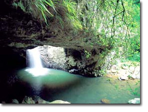 Gold Coast Hinterland